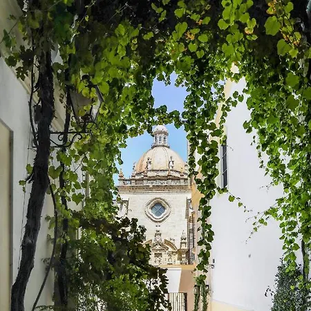 فندق Bodega Tio Pepe